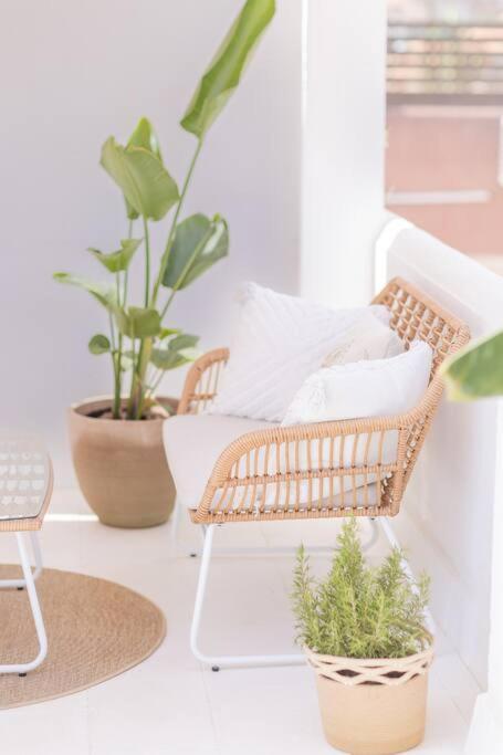 Downtown Flat With 46 Sqm Private Rooftop Terrace Málaga Esterno foto